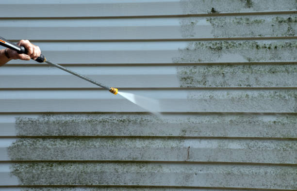 Best Restaurant Pressure Washing  in St Hedwig, TX